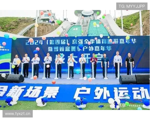 体育旅游市场中明星粉丝团的组织架构研究